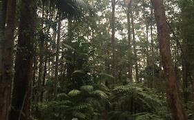 Springbrook Mountain Chalets
