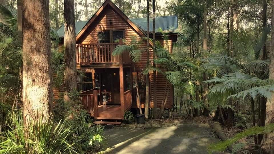 Springbrook Mountain Chalets Экстерьер фото