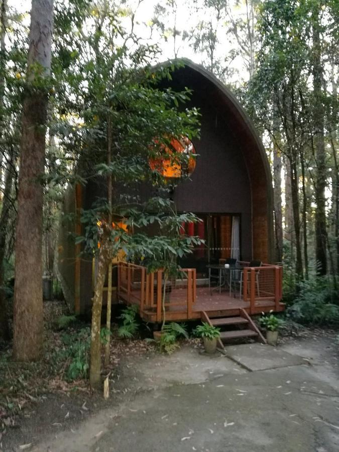 Springbrook Mountain Chalets Экстерьер фото