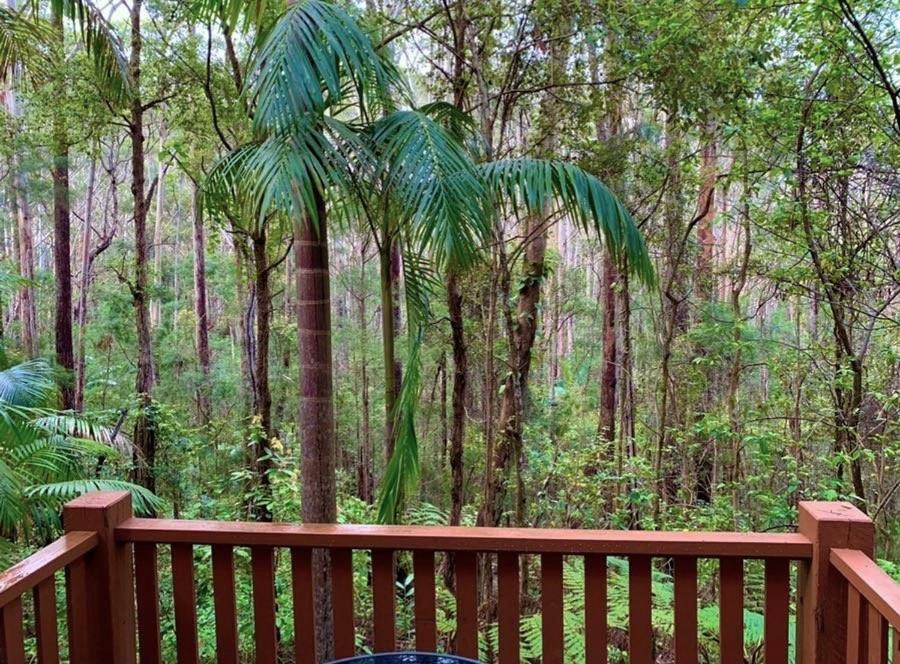 Springbrook Mountain Chalets Экстерьер фото