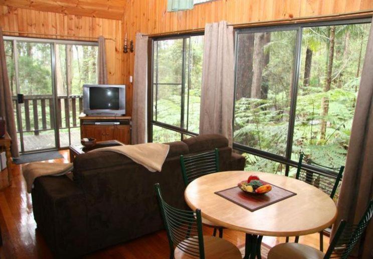 Springbrook Mountain Chalets Номер фото