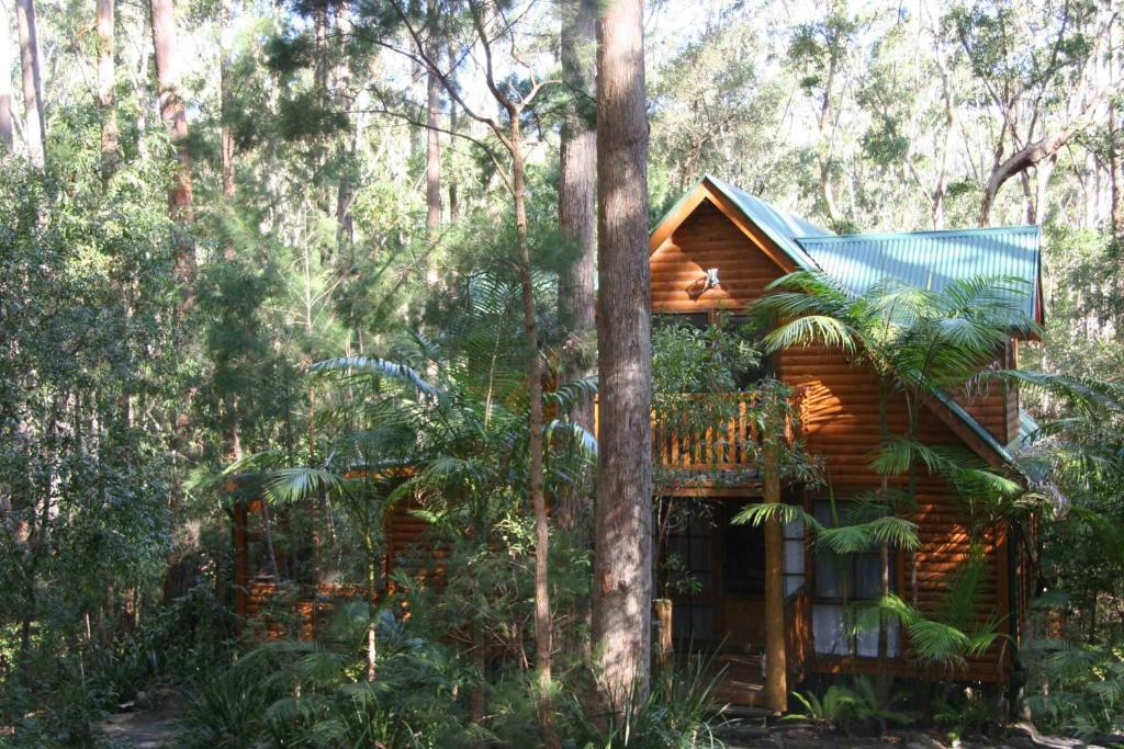 Springbrook Mountain Chalets Номер фото