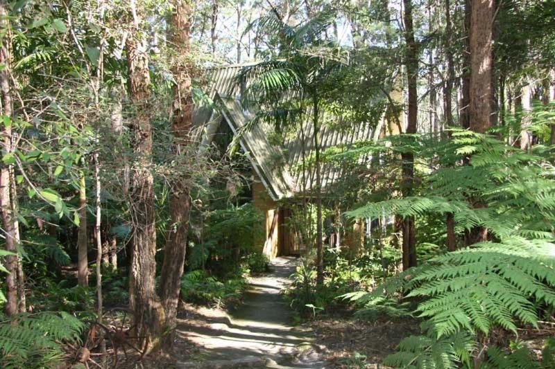 Springbrook Mountain Chalets Номер фото