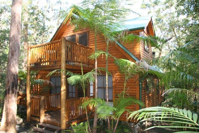 Springbrook Mountain Chalets Номер фото