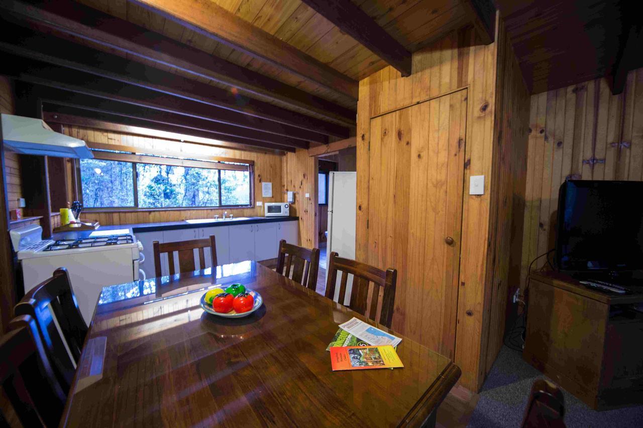 Springbrook Mountain Chalets Номер фото