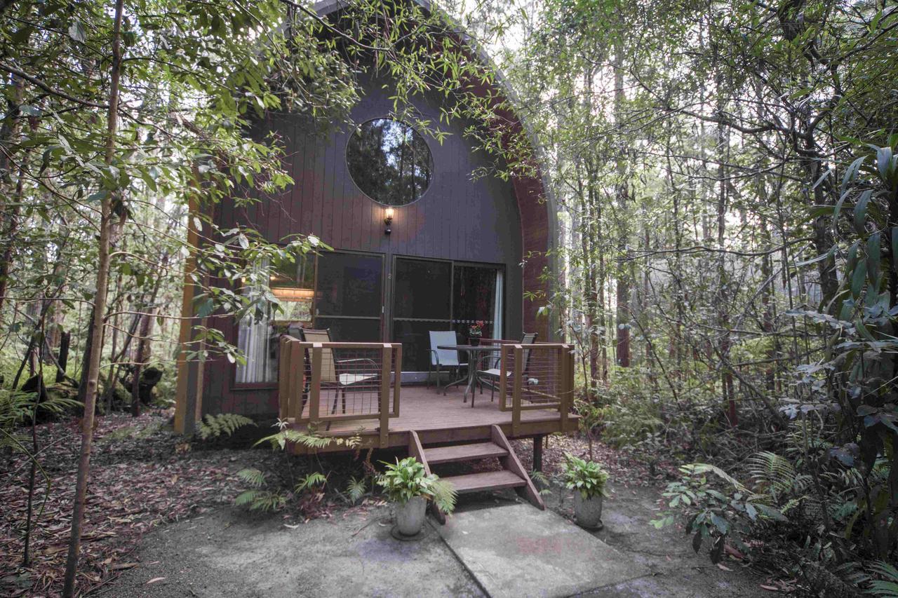 Springbrook Mountain Chalets Номер фото