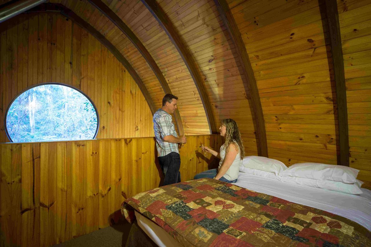 Springbrook Mountain Chalets Номер фото