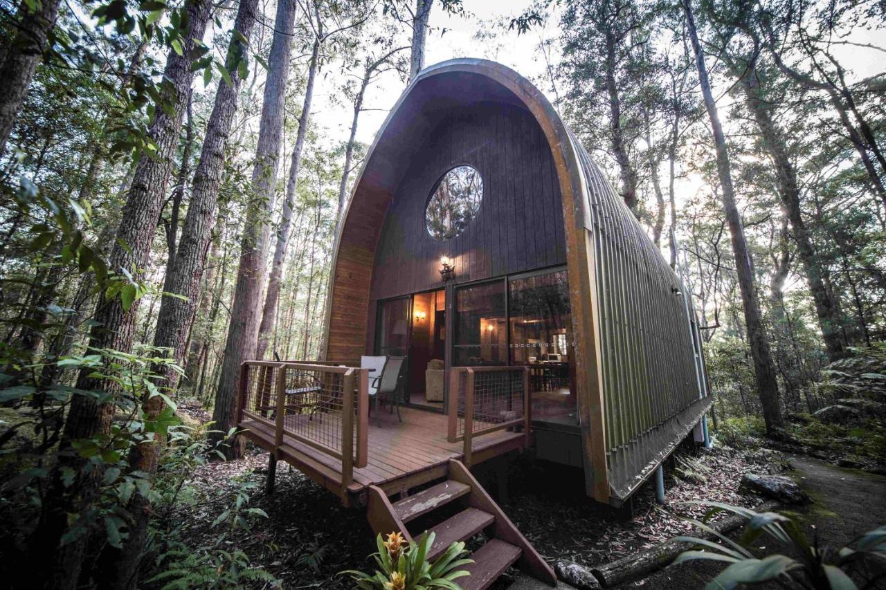 Springbrook Mountain Chalets Экстерьер фото