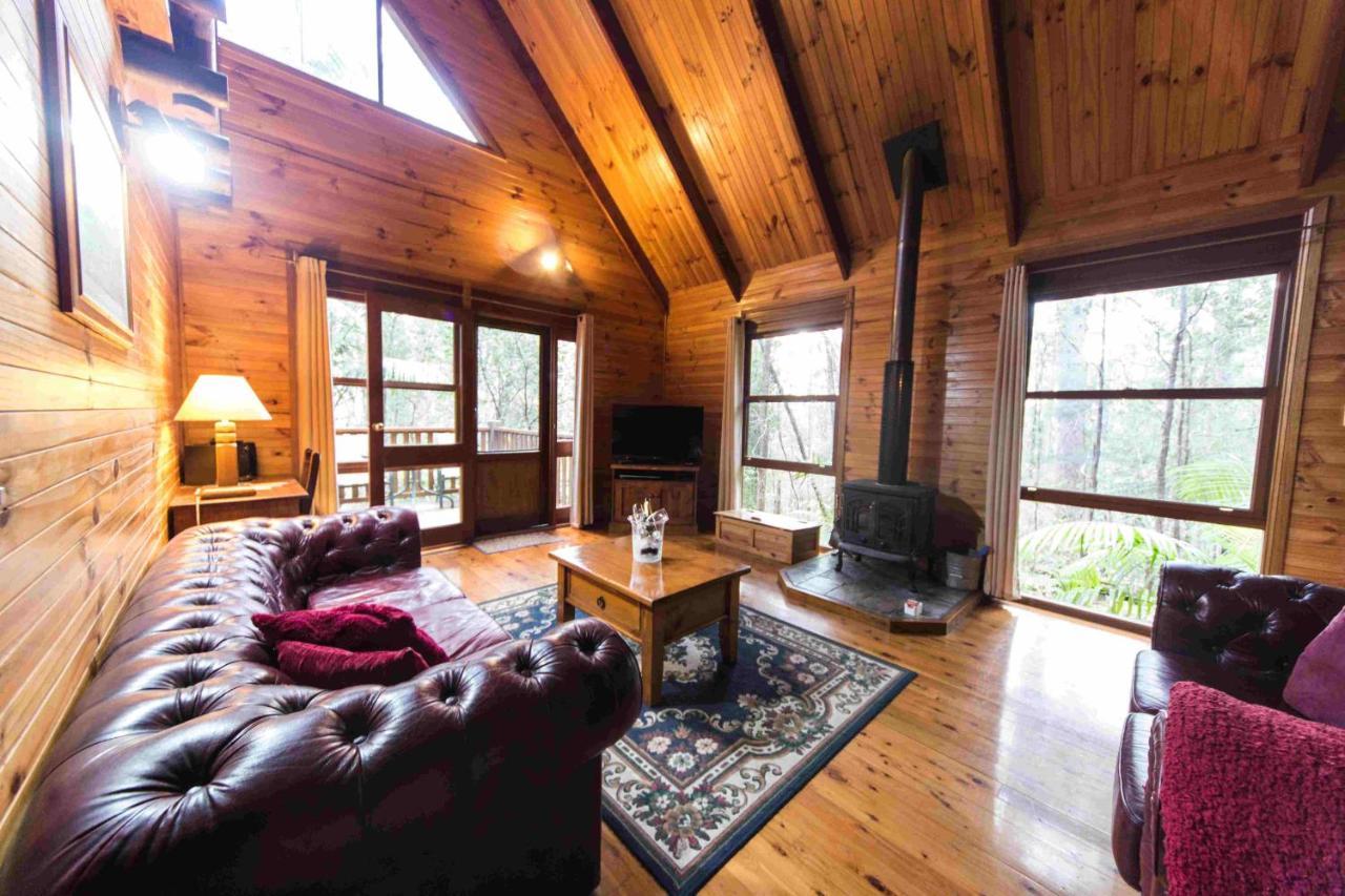 Springbrook Mountain Chalets Экстерьер фото